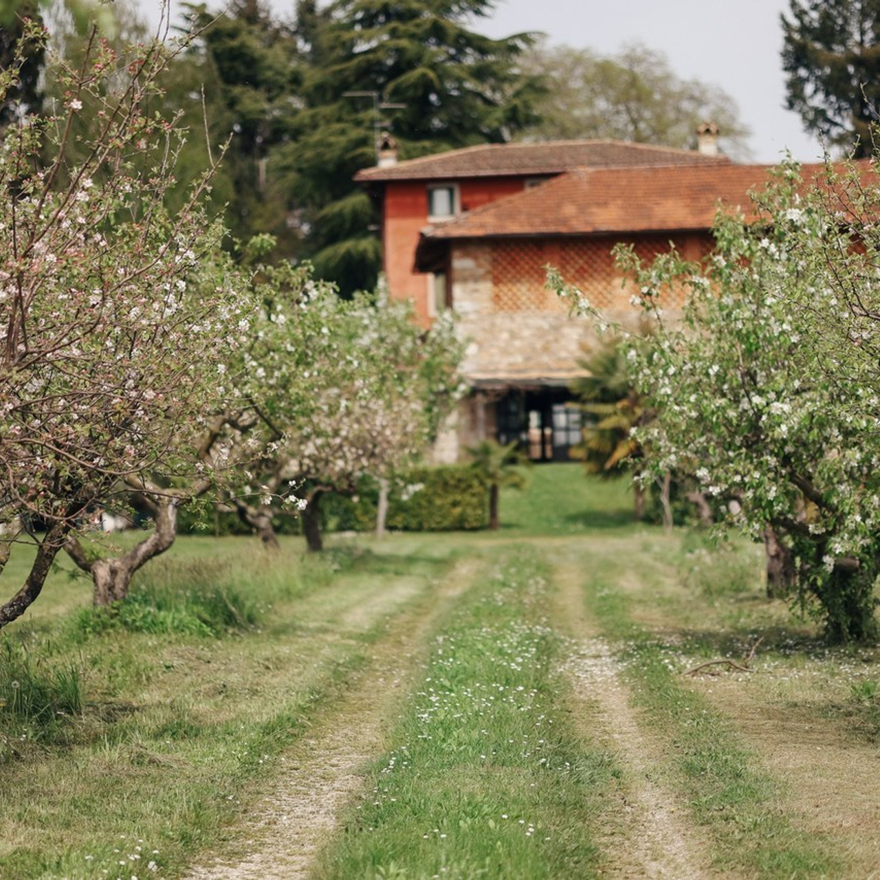 Reviews Venice Photographer. Photographer in Venice, Viktoria Antonova