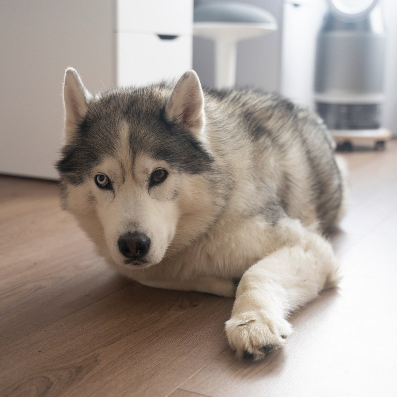 COMMENTS. Nina Janeckova Photographer and Videographer in Bodensee Ravensburg