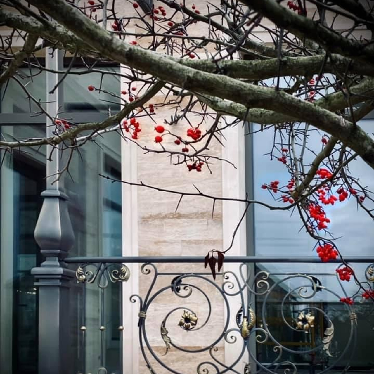 Коммерческие проекты