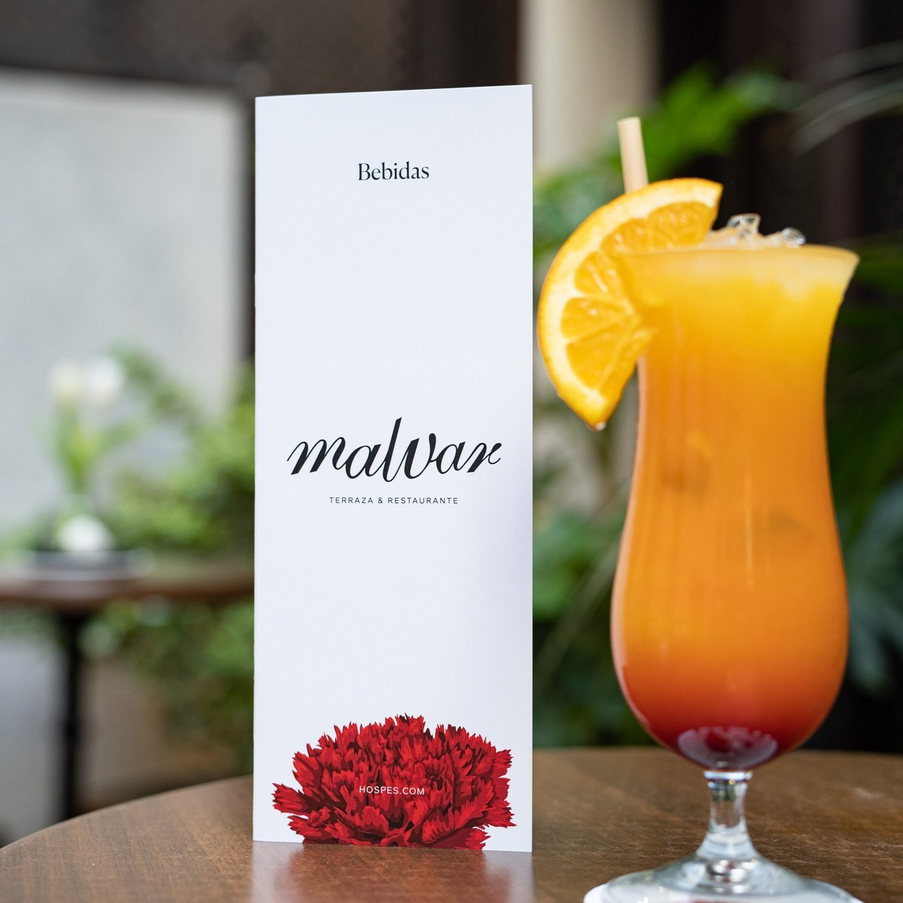 Отзывы. Фотограф в Мадриде Алена Белянинова