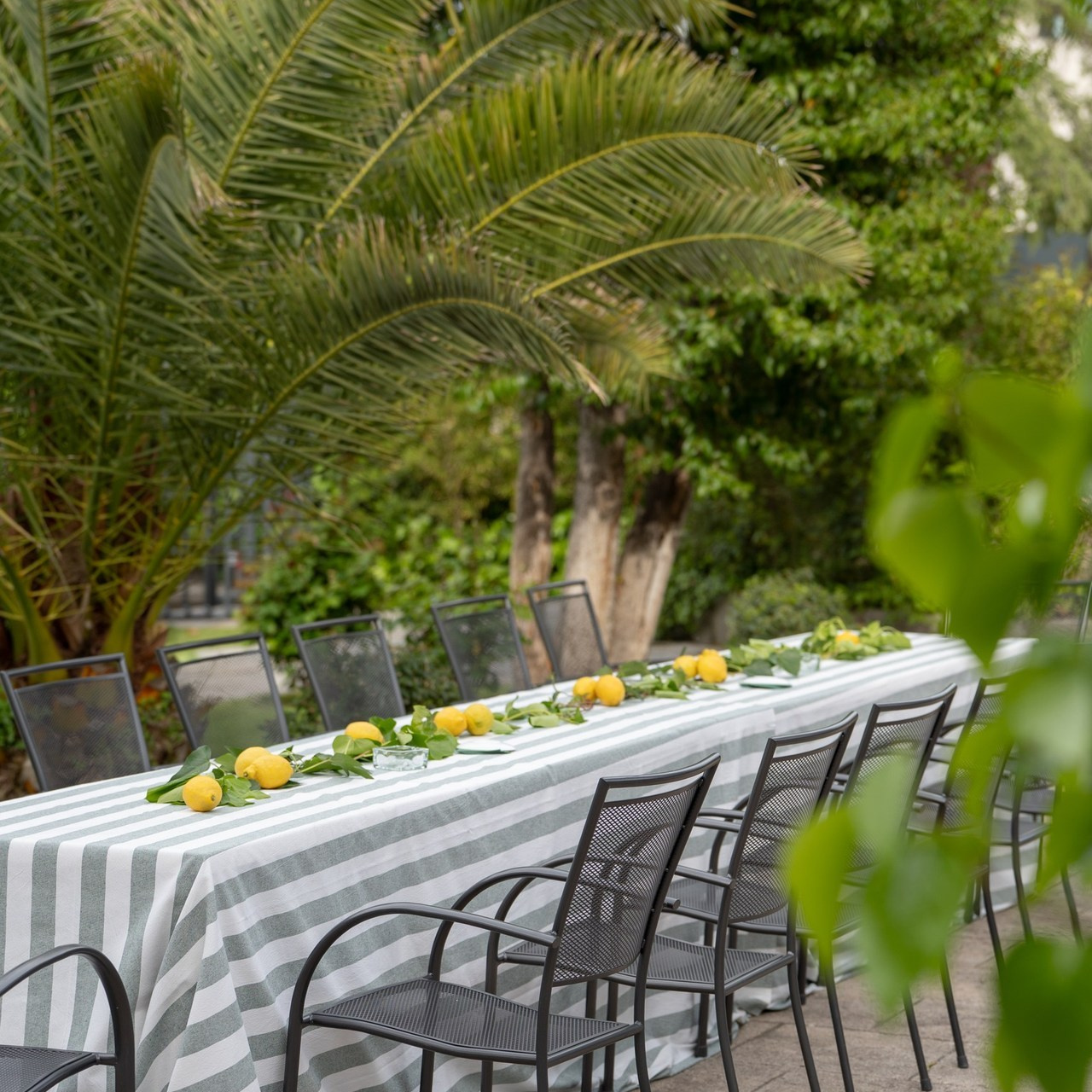 Отзывы. Фотограф в Мадриде Алена Белянинова