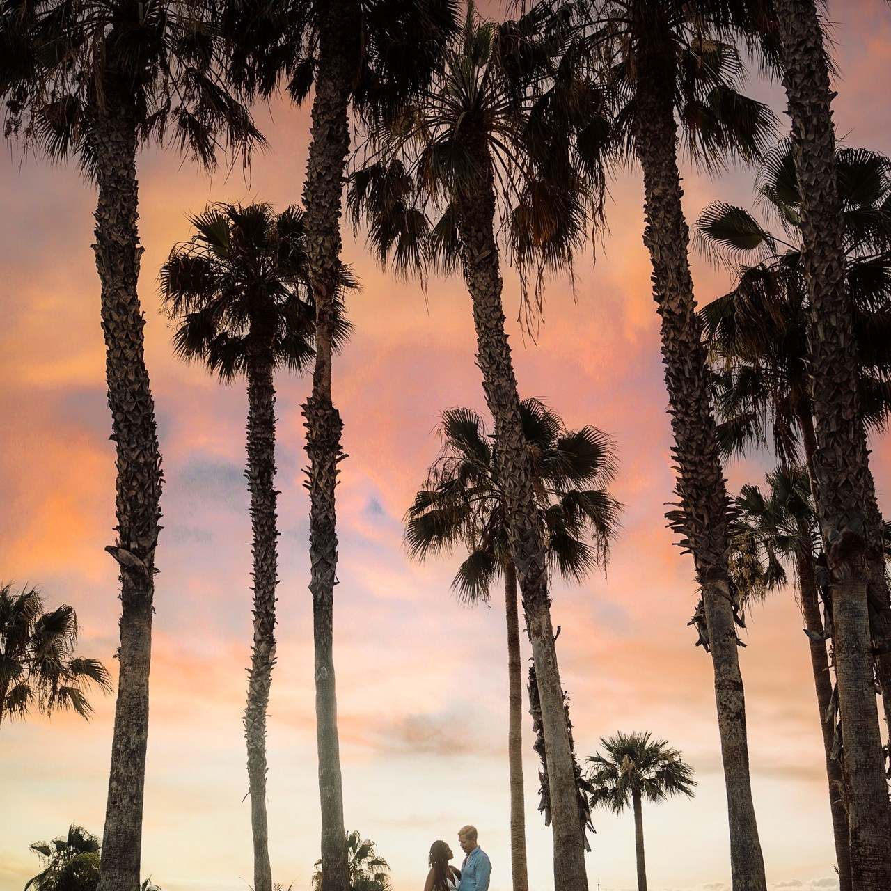 Reseñas. Fotografía profesional en Tenerife Tania Bonnet