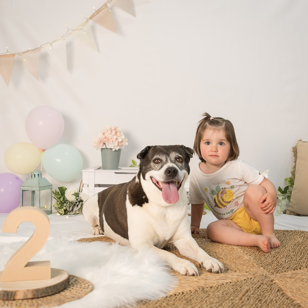 Navidad 2025. Fotos con huella, fotografía de perros y mascotas en Sevilla