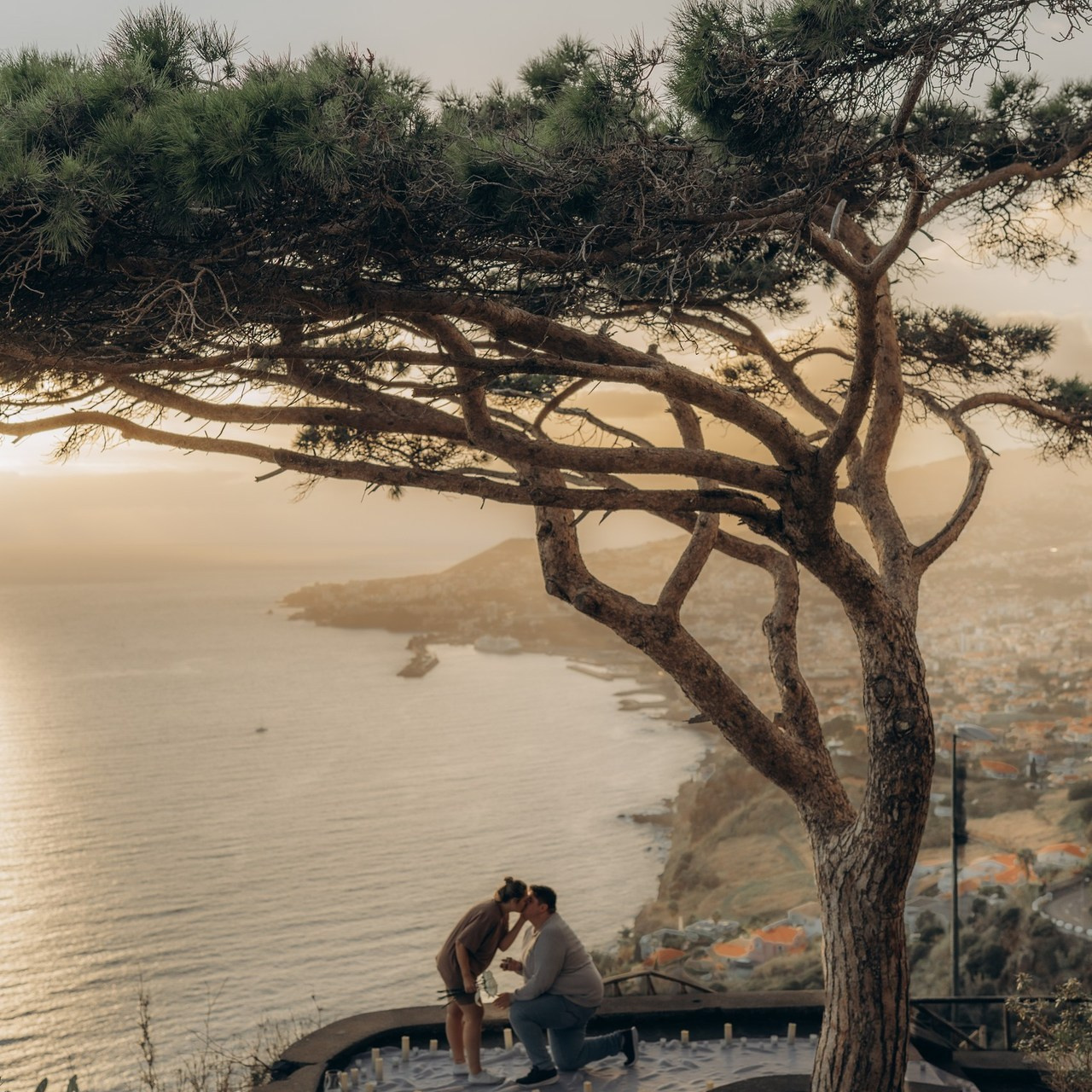 Bewertungen. Elumi Fotografin Madeira