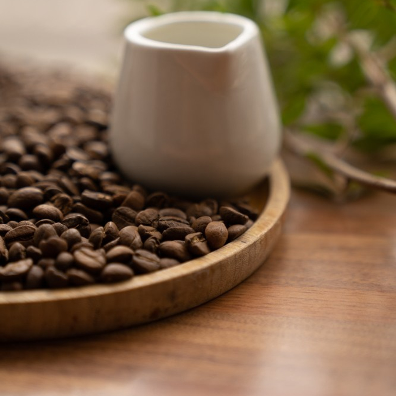 Cafe Angel. Photographer & Tour Guide Based in Scotland