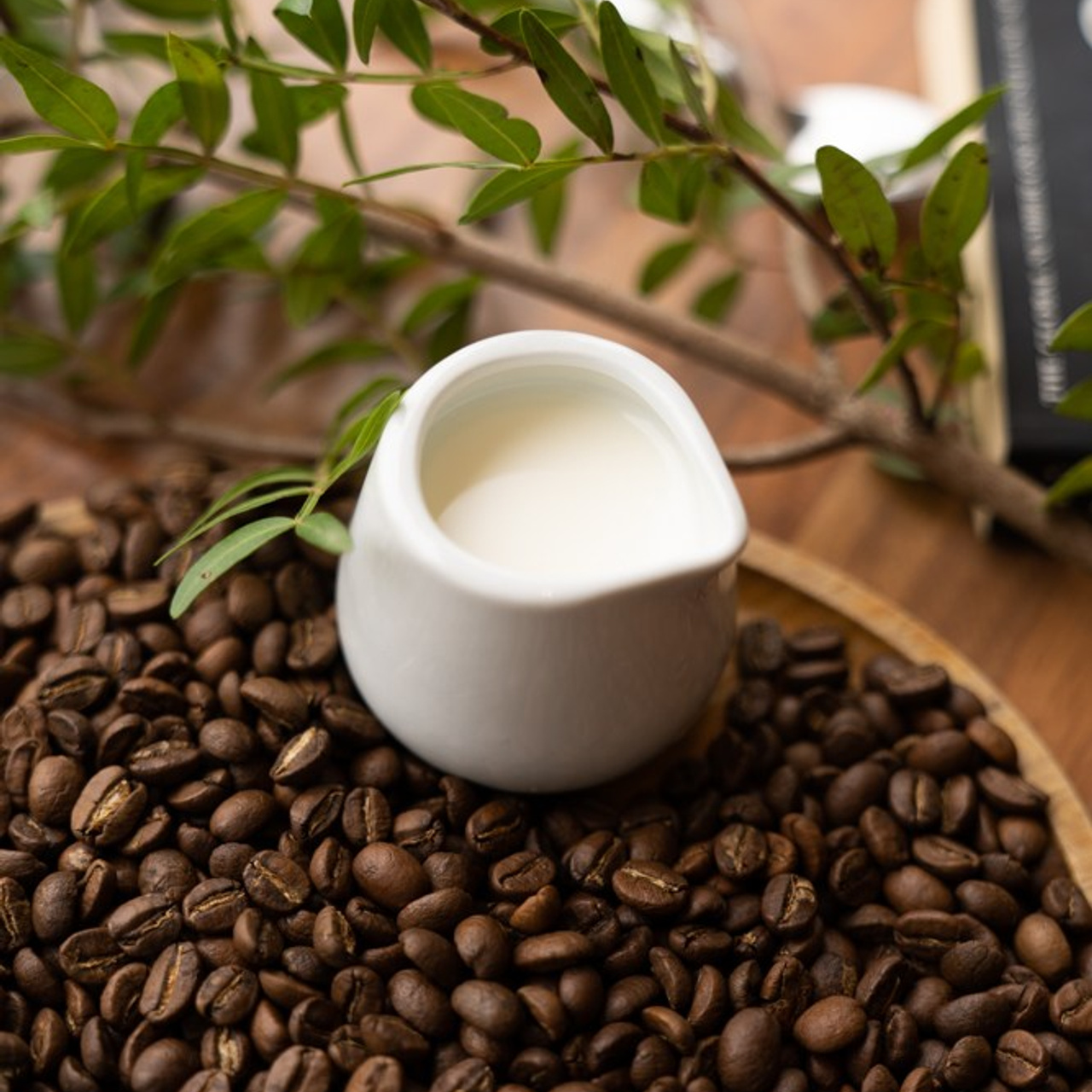 Cafe Angel. Photographer & Tour Guide Based in Scotland