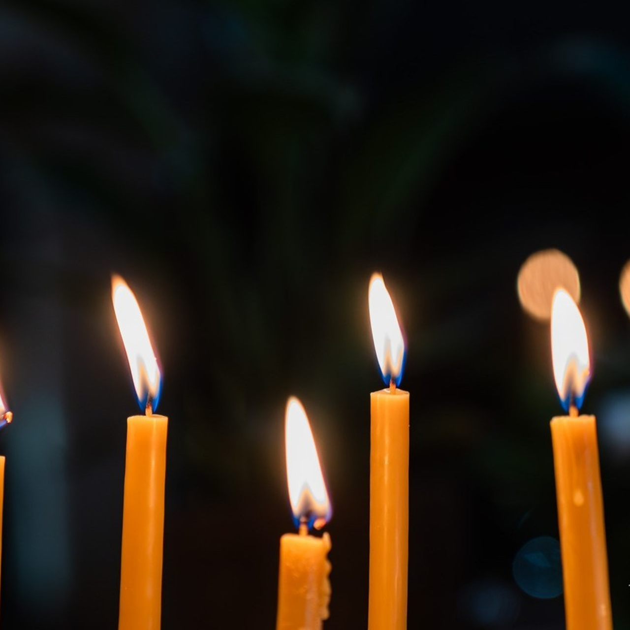 RECENZII. TANTAN IONUT FOTO & FILM