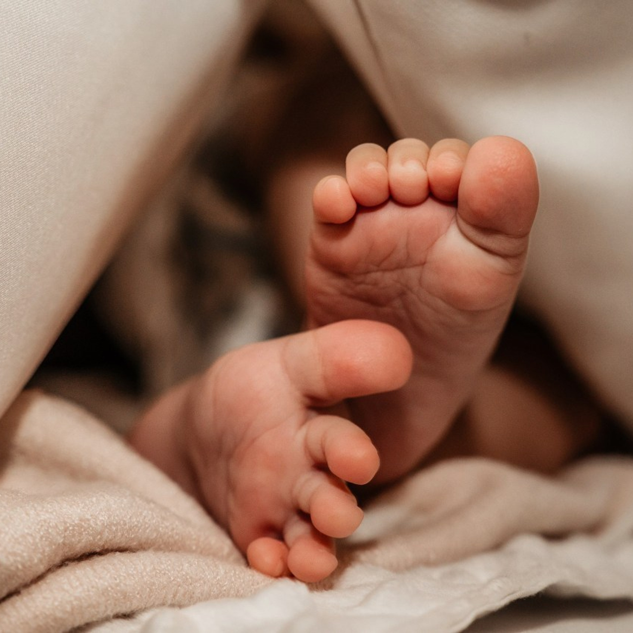 RECENZII. TANTAN IONUT FOTO & FILM