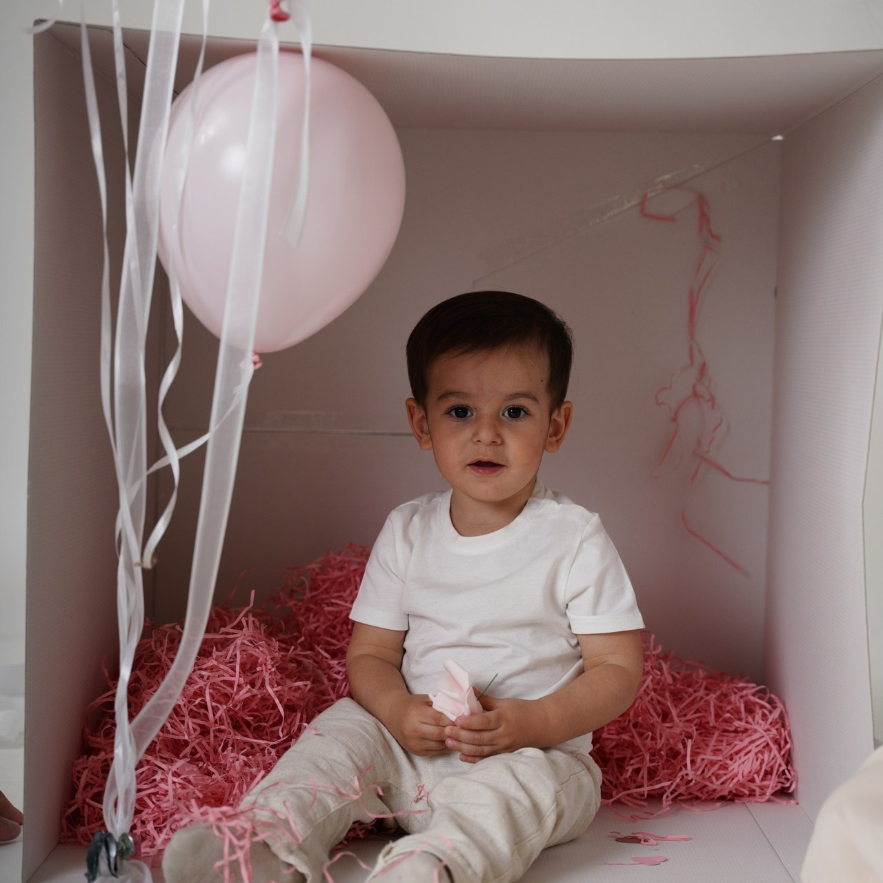 Recenze. Rodinna fotografka Plzen Anita Dergachova