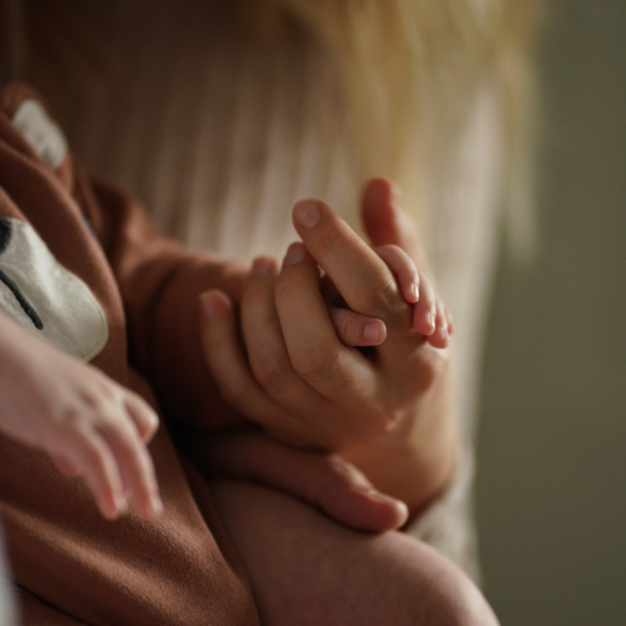 Recenze. Rodinna fotografka Plzen Anita Dergachova