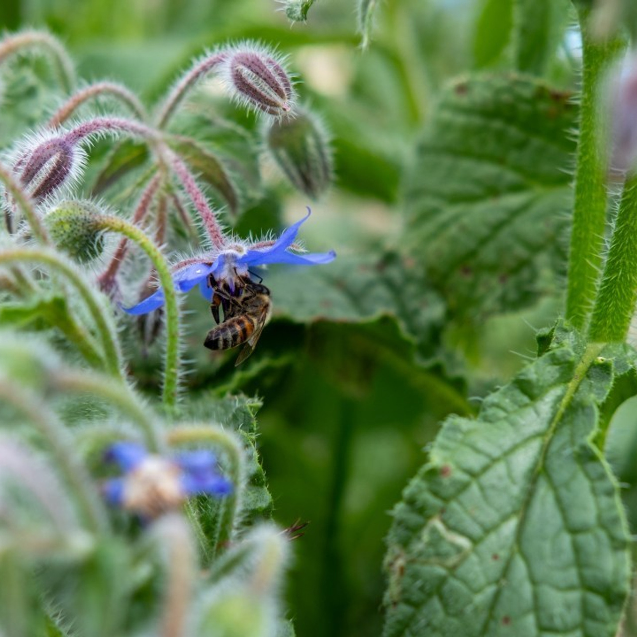 Témoignages Photographe Mariage Toulouse. Photographe de mariage à Toulouse