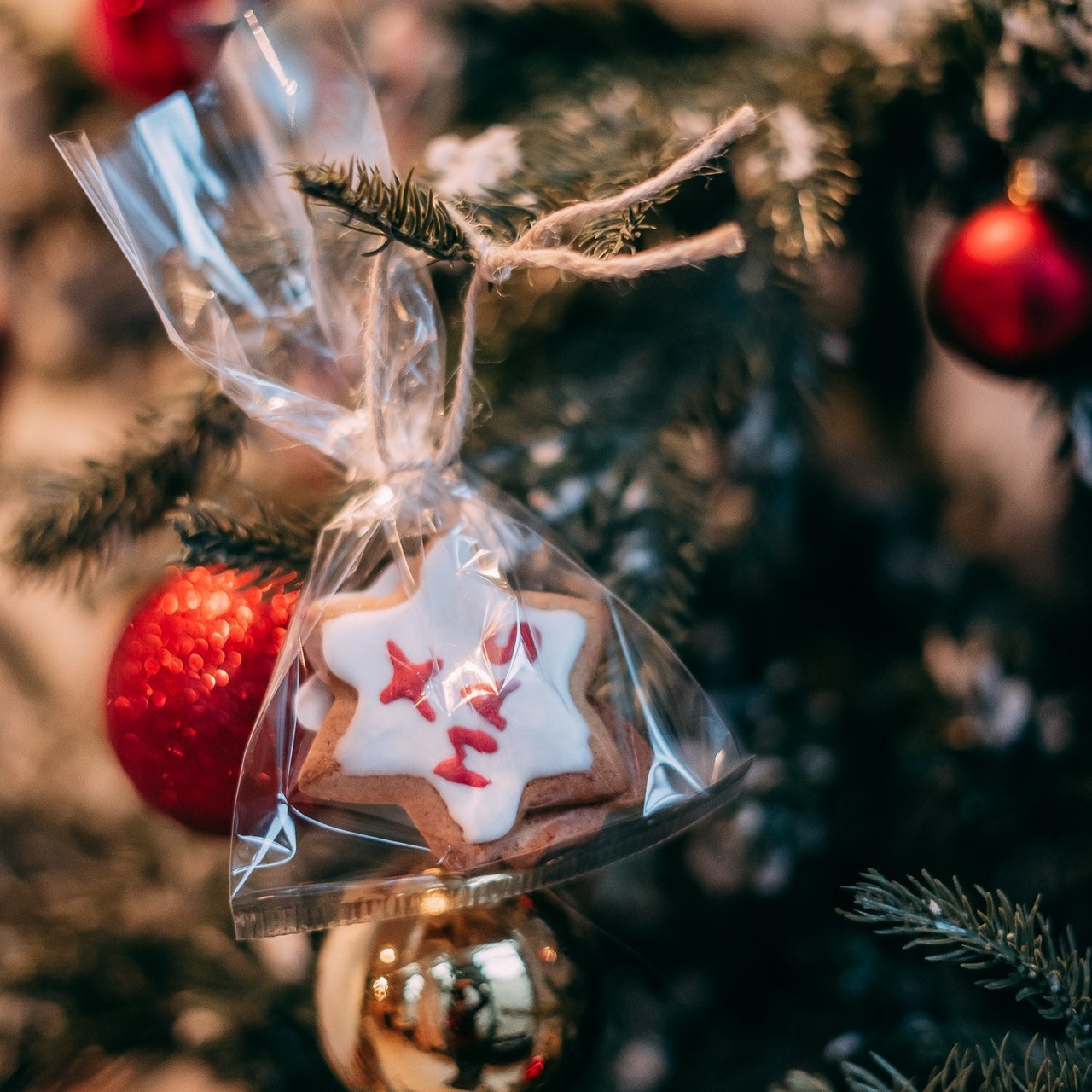 Dicono di me. Diana Fedrigo | Fotografa matrimoni in Italia