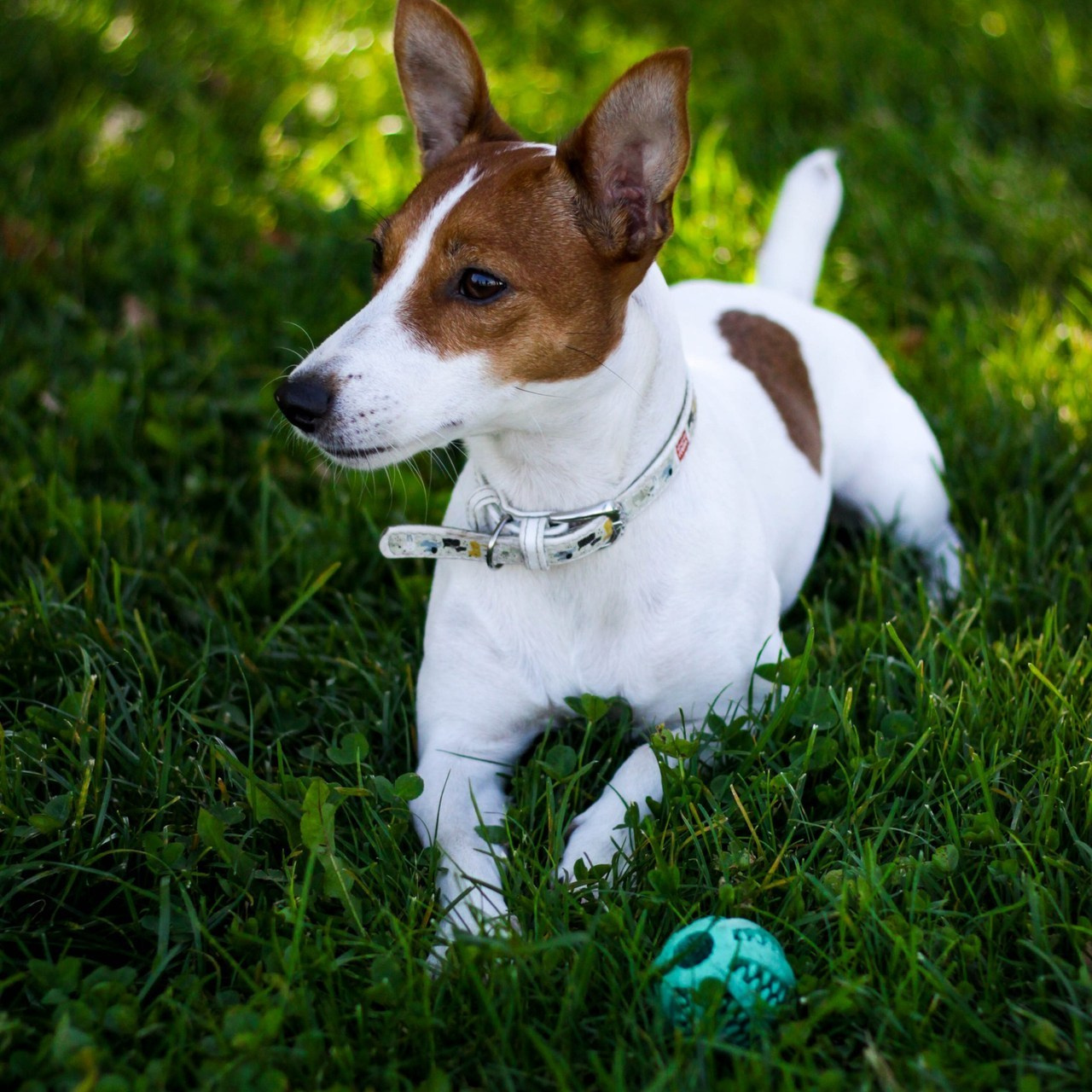 Testimonials. Orel-photogirl.com