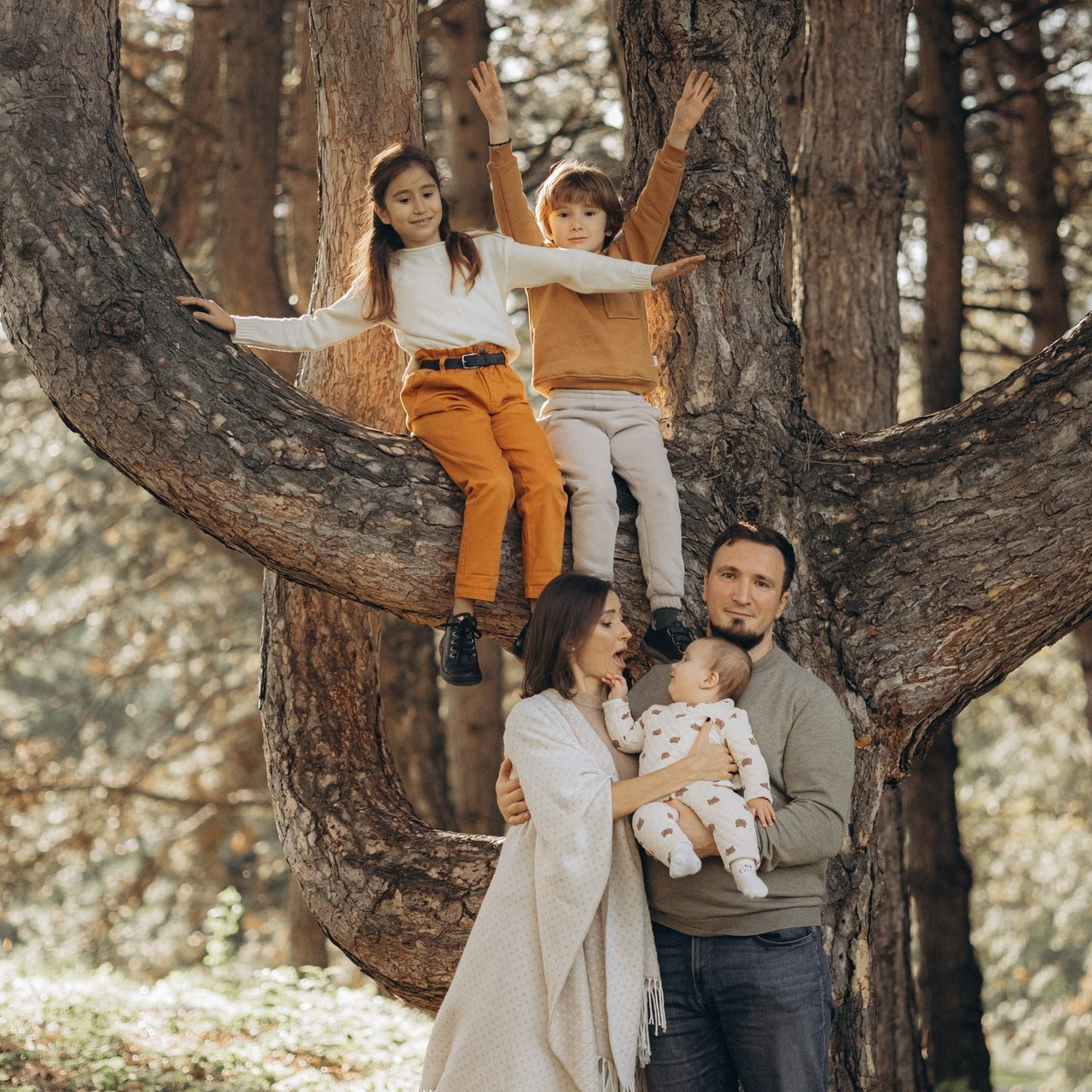 .feedback | отзывы