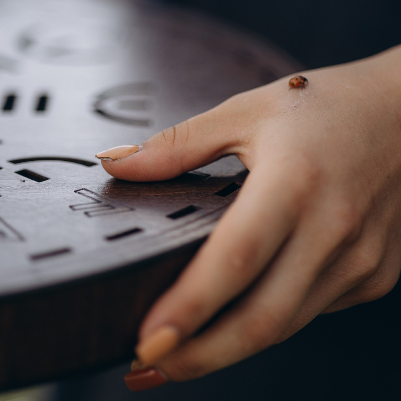 .feedback | отзывы