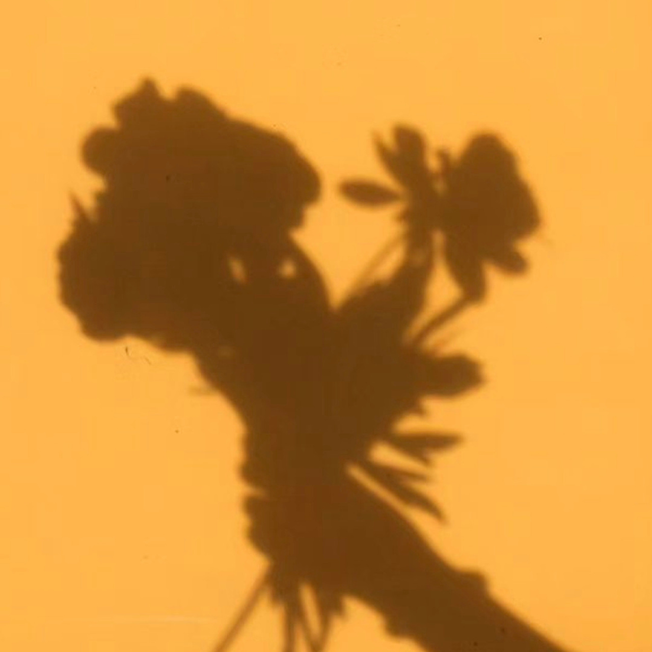 Bewertungen♥️. Familien und Kinderfotografin in Mainz / Wiesbaden / Frankfurt am Main