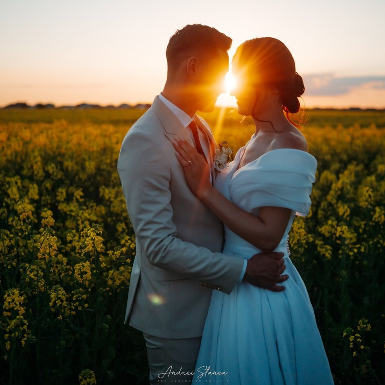 Testimonials. Andrei Stanea