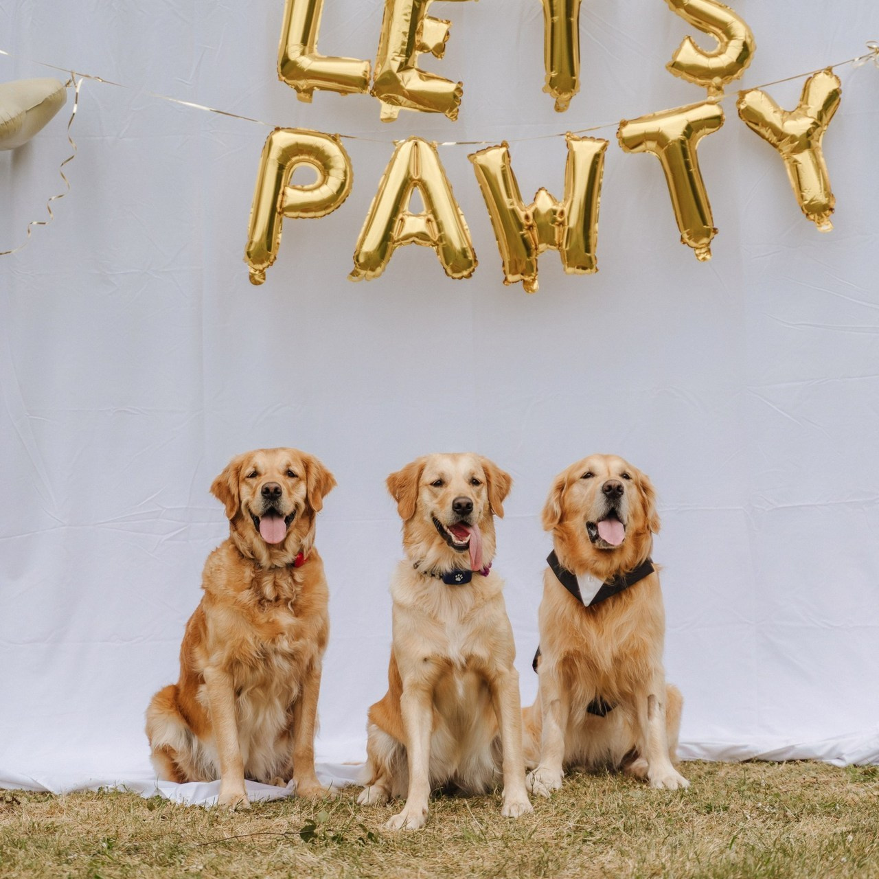 Reviews of the work of photographer Ekaterina Romanova. Photographer in England Ekaterina Romanova