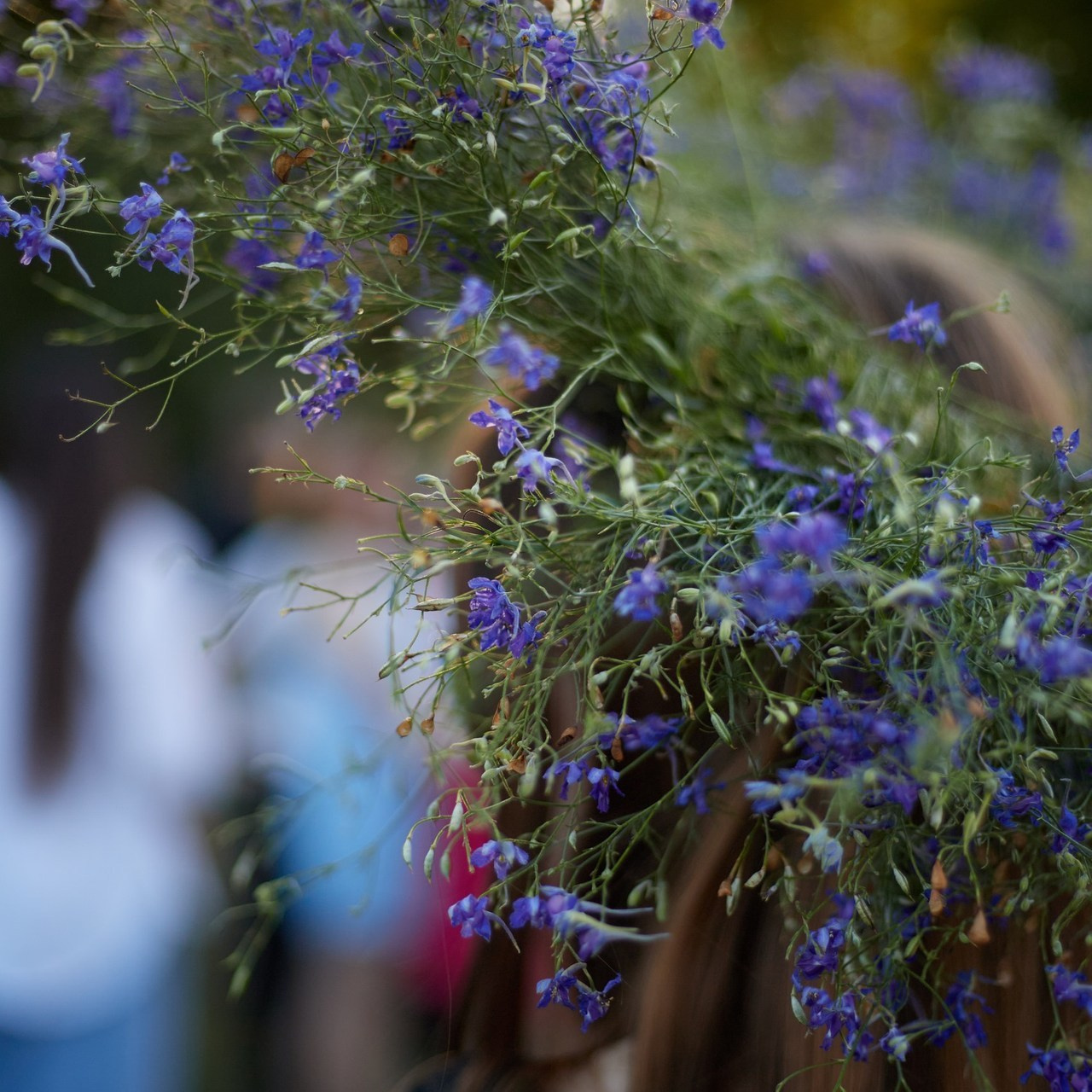 Отзывы. Дмитрий и Каролина Тофан