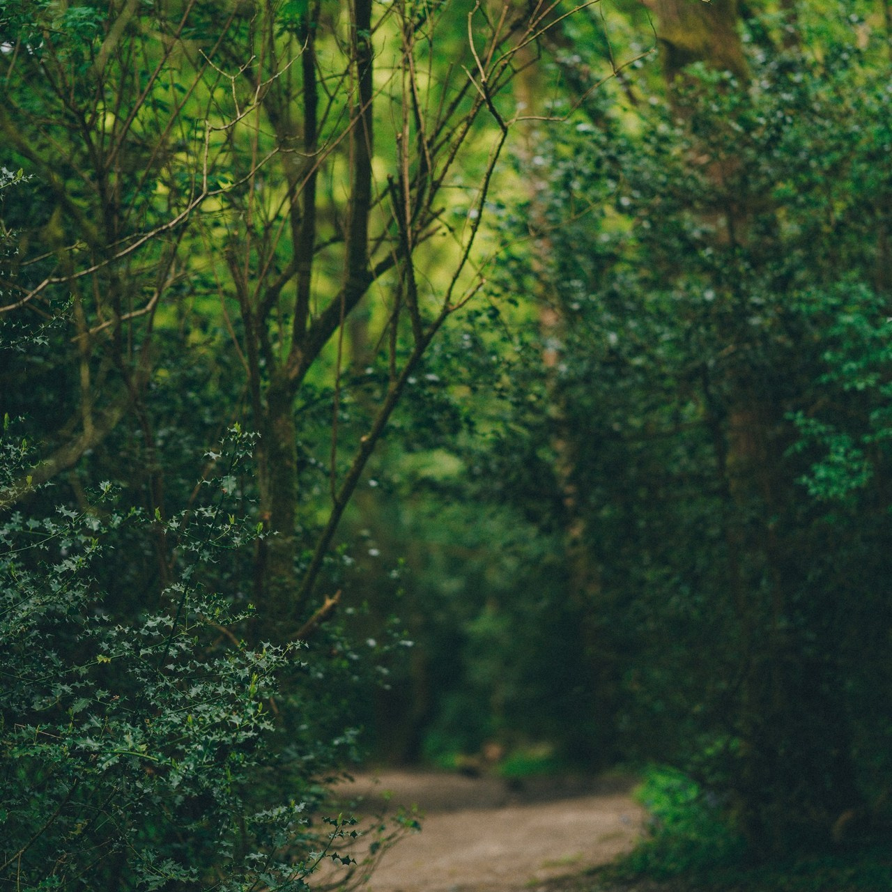 Irina Zoteeva Feedback photographer in Solihull and Birmingham. Creative Family, Brand, Boudoir and Wedding Photographer in Solihull & Birmingham Irina Zoteeva