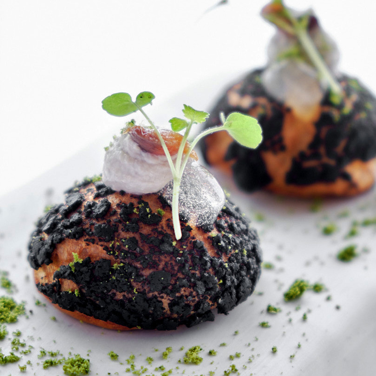 Servicios fotograficos, video y diseño Torrevieja