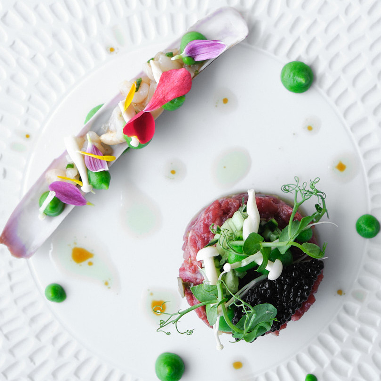 Servicios fotograficos, video y diseño Torrevieja