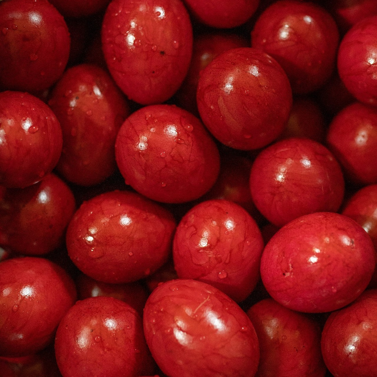 Anastasiafotografie Bewertungen, Photography by anastasia. Newbornfotograf Kinderfotograf Ulm Familienfotograf Anastasia Neu-Ulm