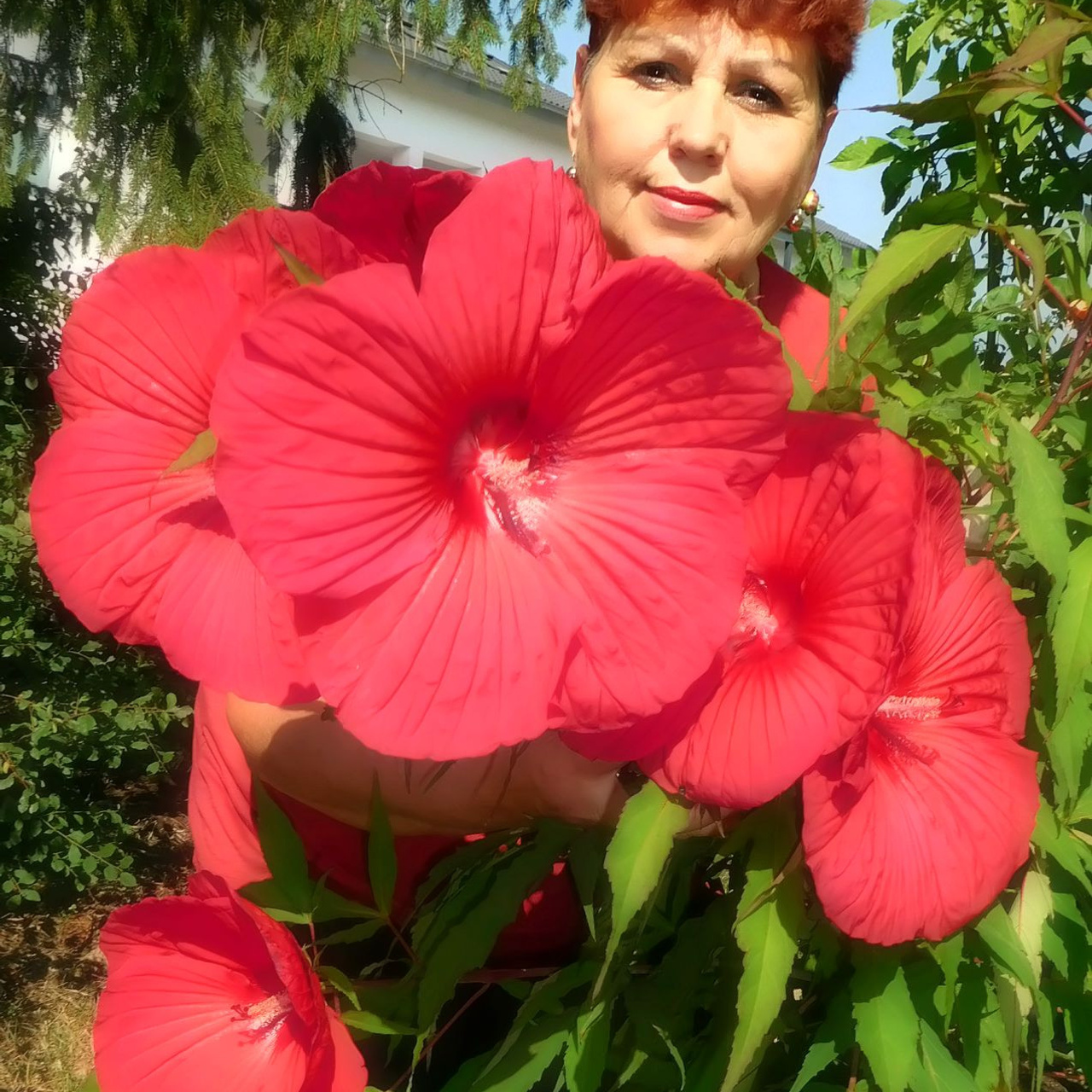 Отзывы / Bewertungen. Oksana Paul-Gardinen-Design Oksana Paul ✧ Art of Gardinen & Textile Design ✧ Polymer Clay Art & Handmade Creatures