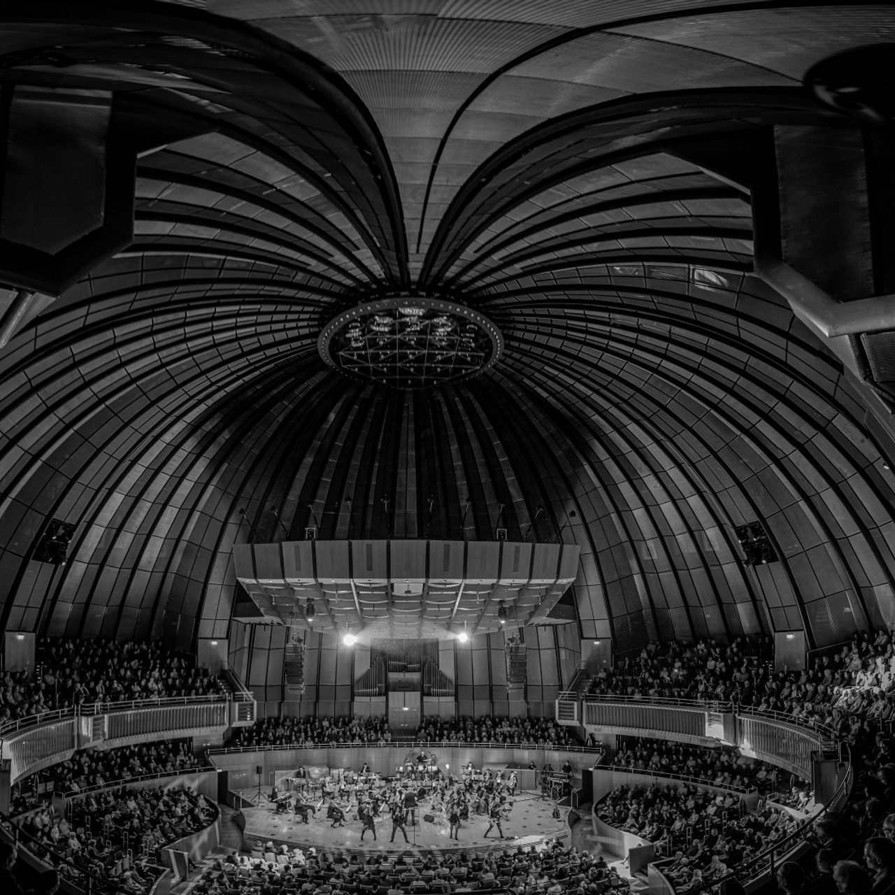 Testimonials. Portrait photographer in Germany and all over Europe Mischa Blank