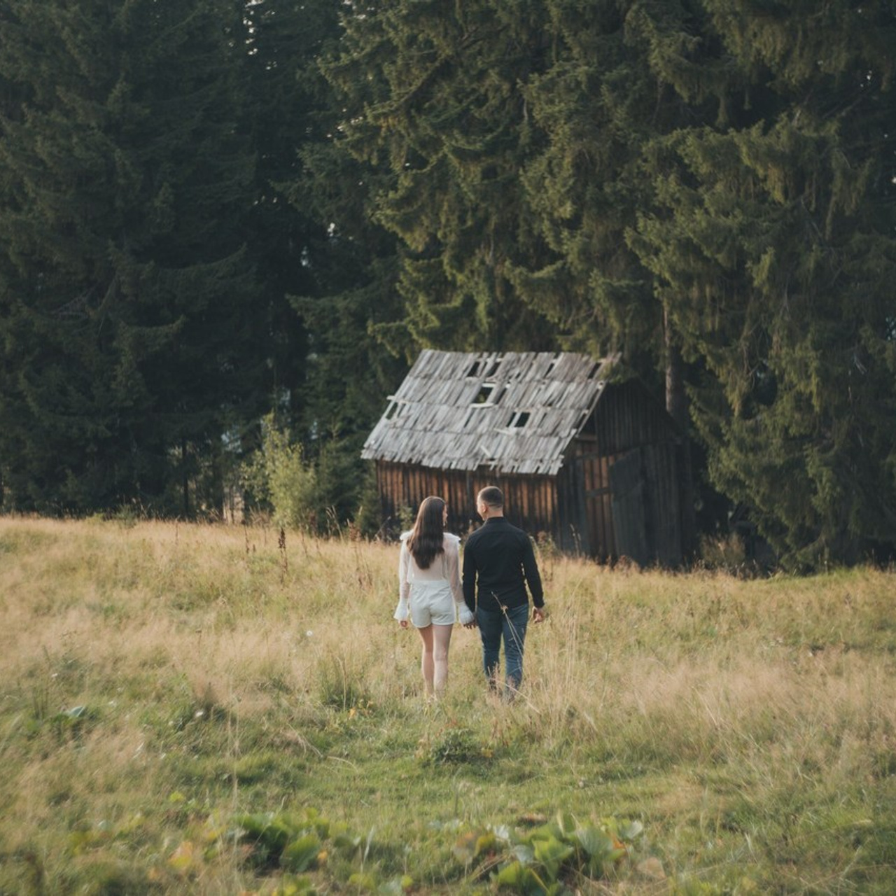 Recenzii. Minimalistart