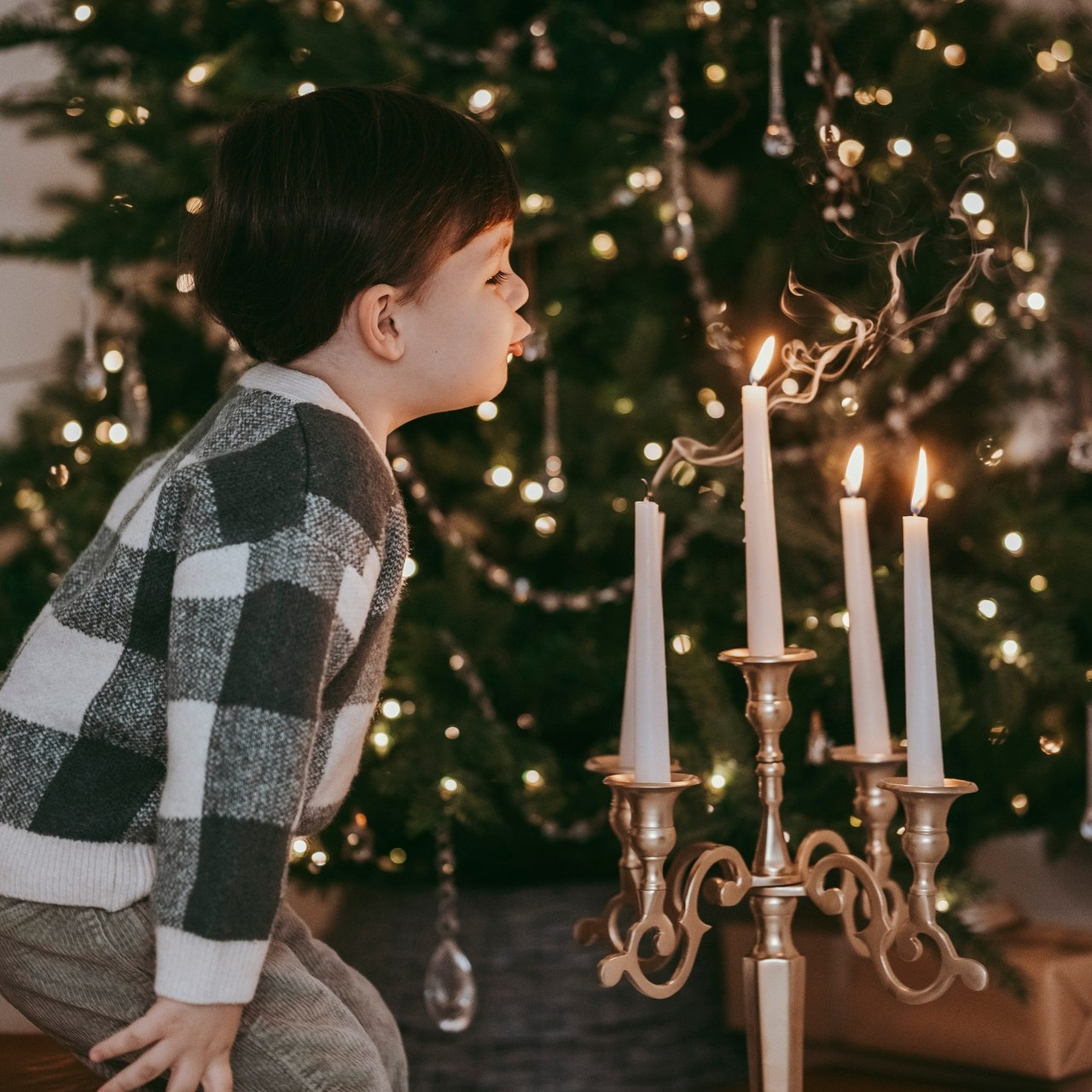 Vaši utisci. Deciji i porodicni fotograf u Beogradu Oksana Skendzic