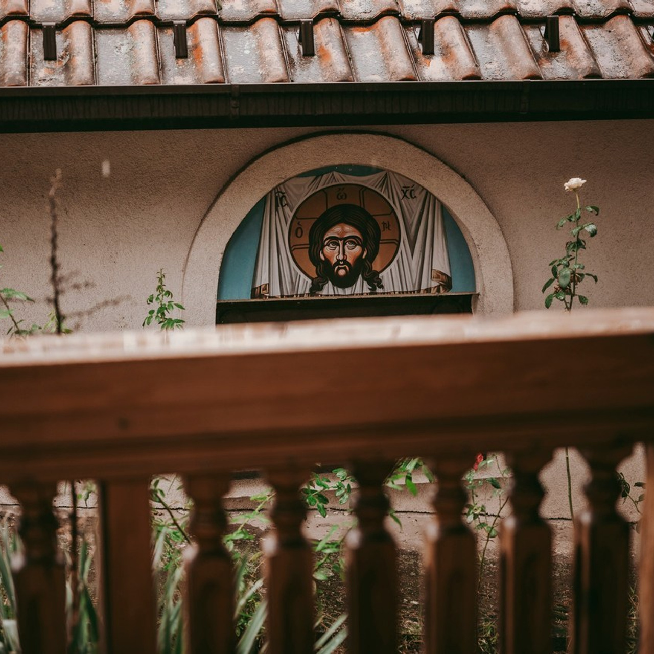 Vaši utisci. Deciji i porodicni fotograf u Beogradu Oksana Skendzic