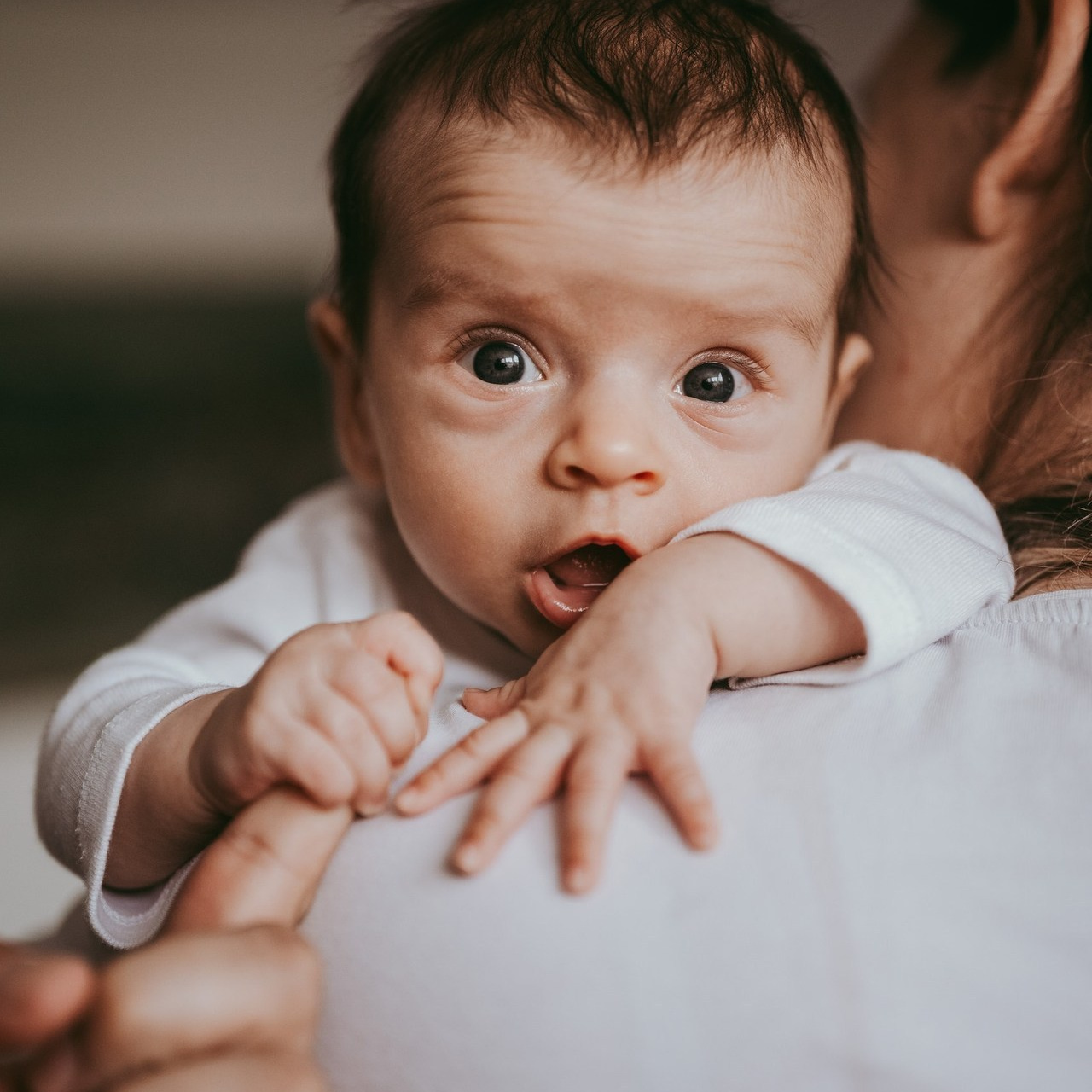 Vaši utisci. Deciji i porodicni fotograf u Beogradu Oksana Skendzic
