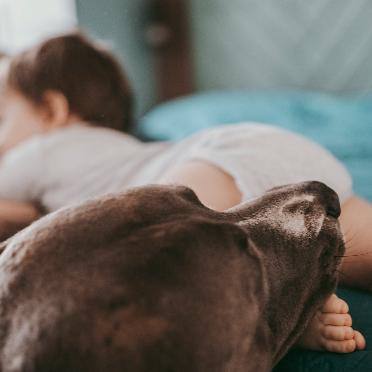Vaši utisci. Deciji i porodicni fotograf u Beogradu Oksana Skendzic