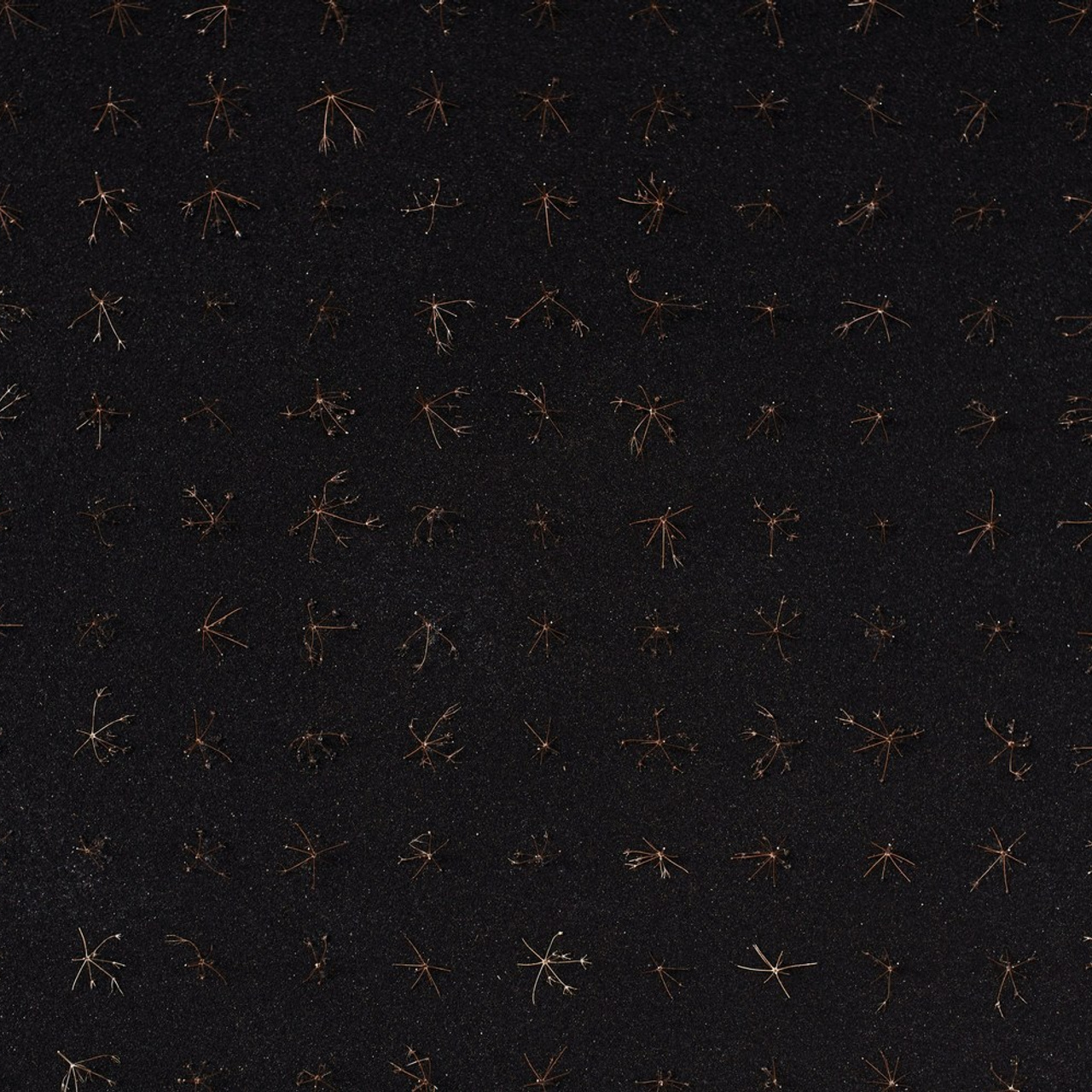 Reviews. Portrait Photographer in Brussels & Amsterdam — Victoria Ushkanova