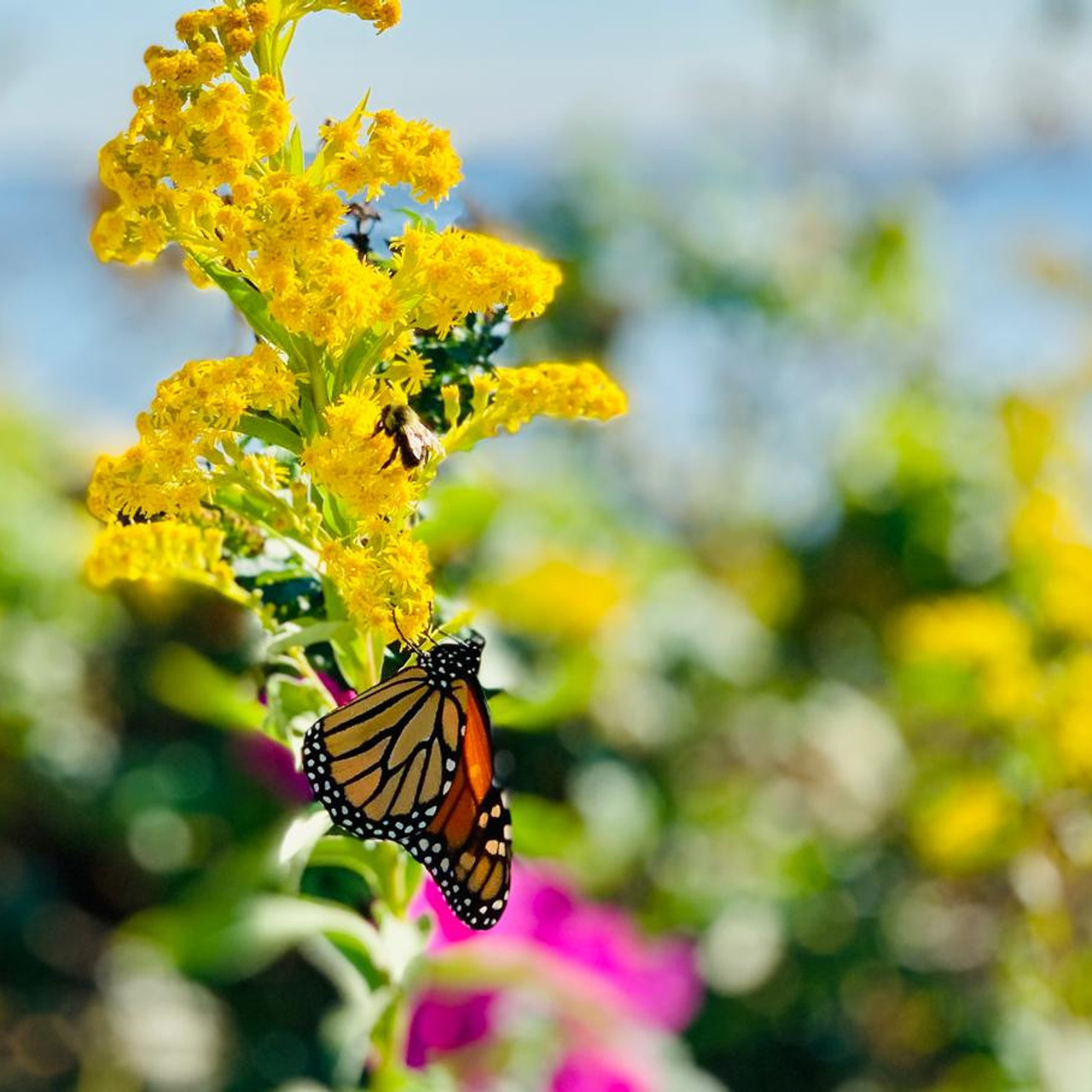 Testimonials. Annecy Film — Videography, Vidéaste Kate CRAMON in Annecy and Geneva