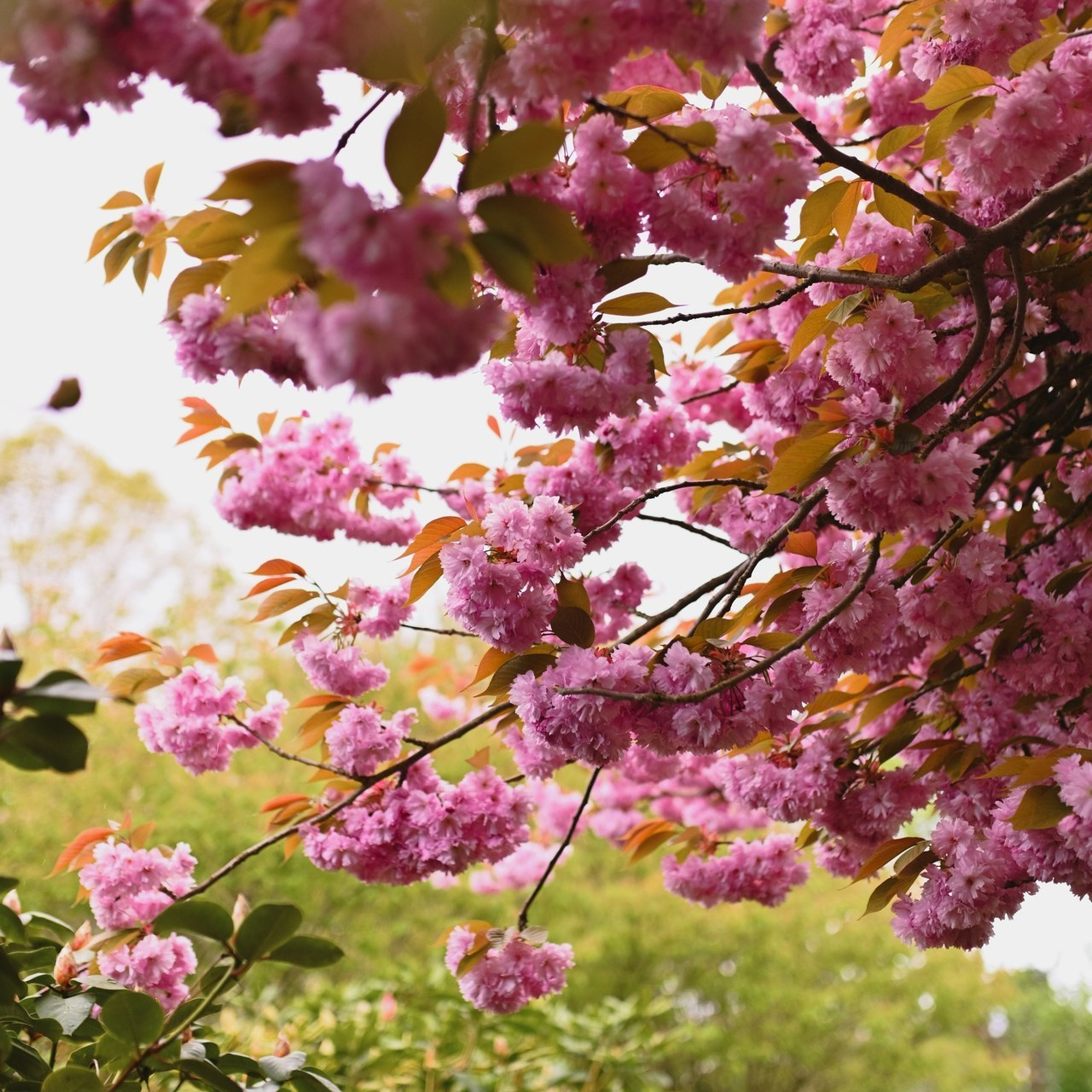 Familienfotograf in Hamburg Bewertungen. Familienfotograf, Hochzeitsfotograf in Hamburg und Umgebung