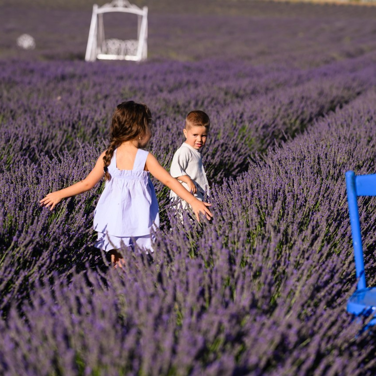 Testimonials. Ligiafoto.ro