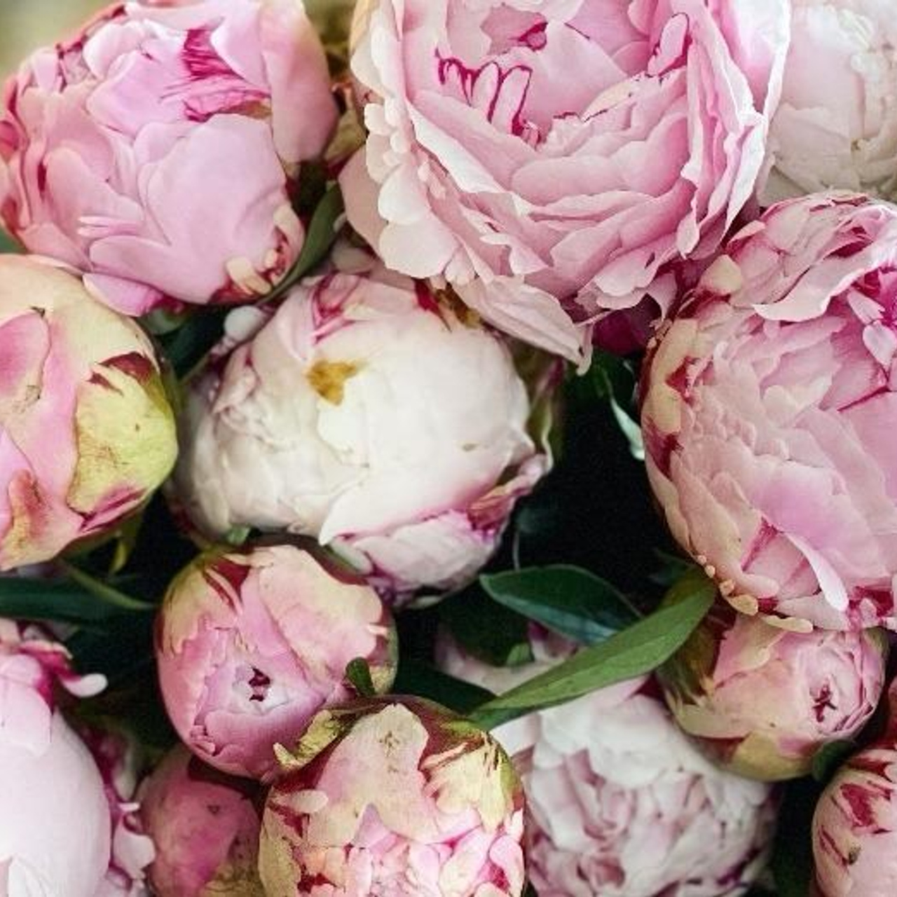 Testimonials. Fotograf prin #Piatraneamt-Alessander Enache