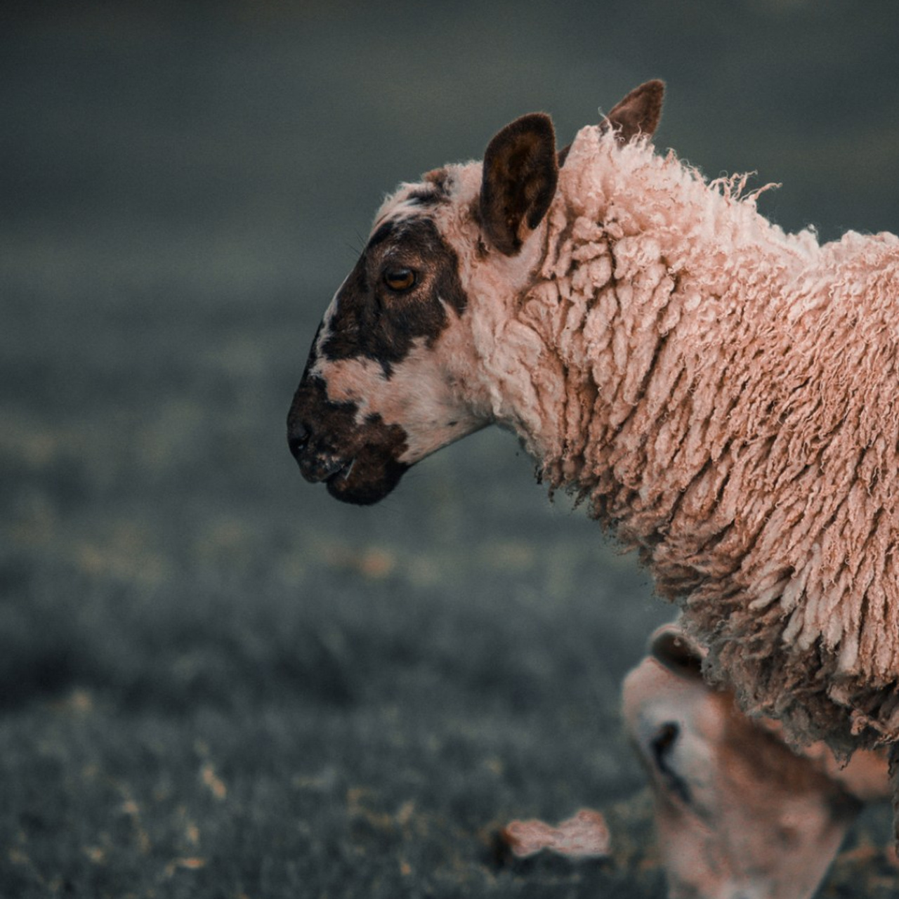 Lifestyle & Documentary Photography in Bristol, Bath & London — def0cused