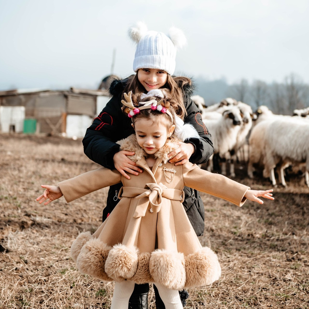 Recenzii. Ionut Birceanu