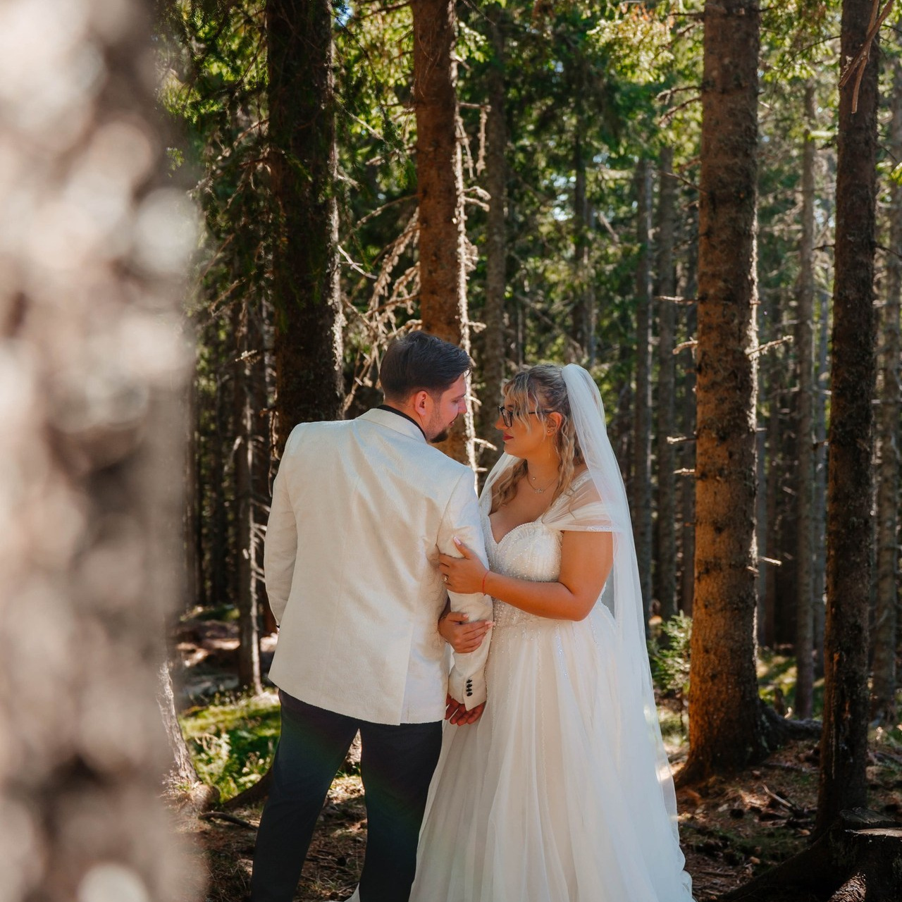 Recenzii. Ionut Birceanu