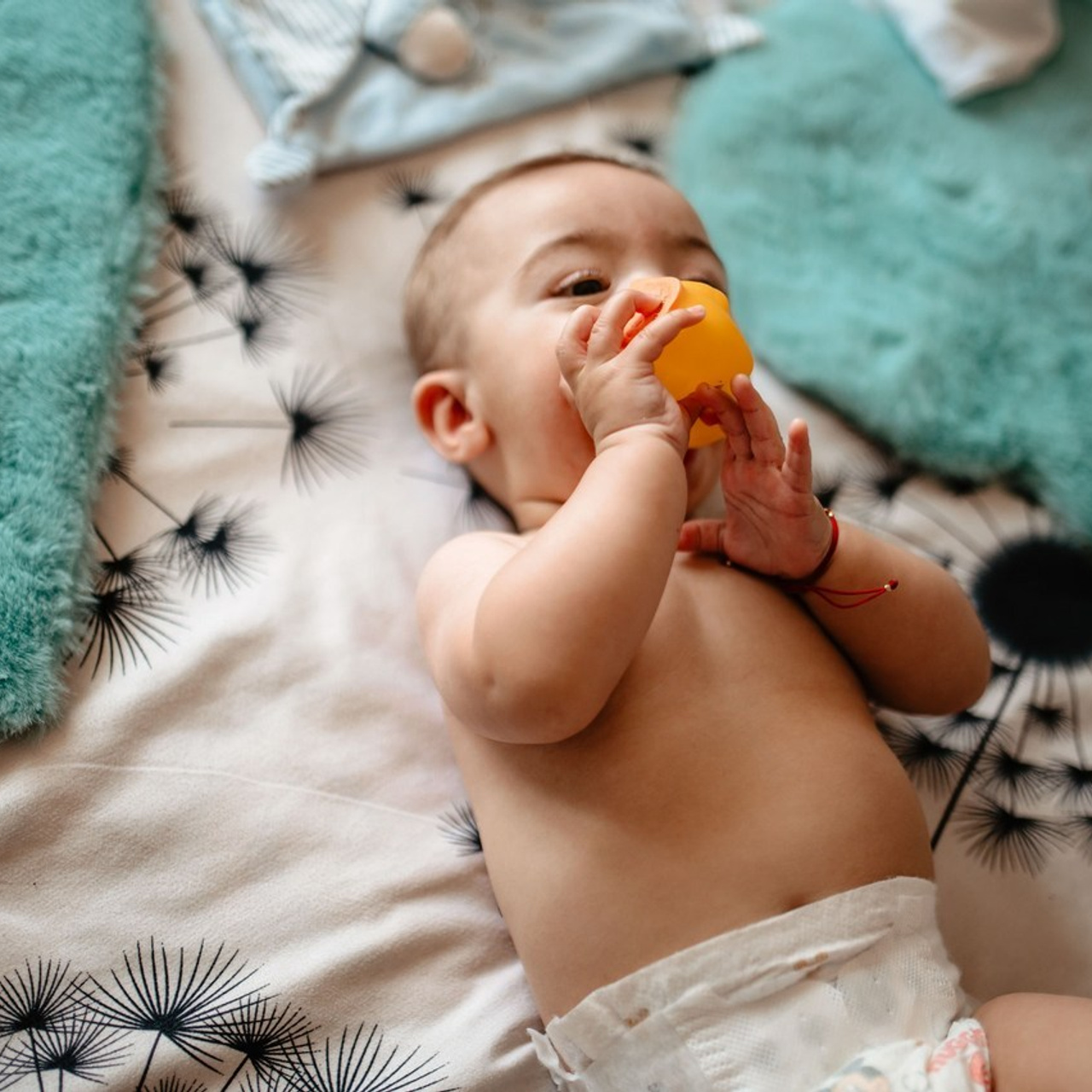 Recenzii. Ionut Birceanu