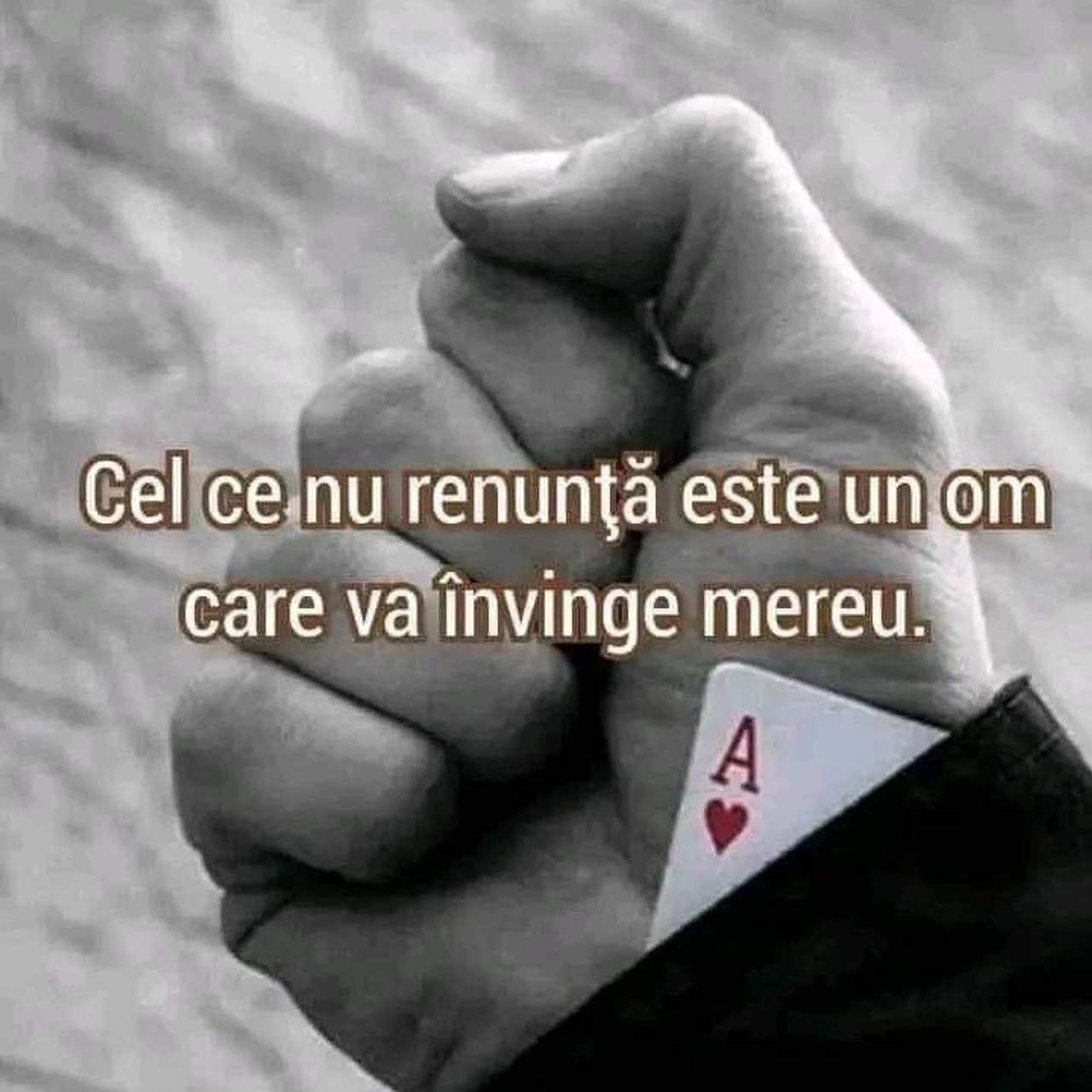 Testimoniale. Ana Maria Dragan Fotograf Evenimente