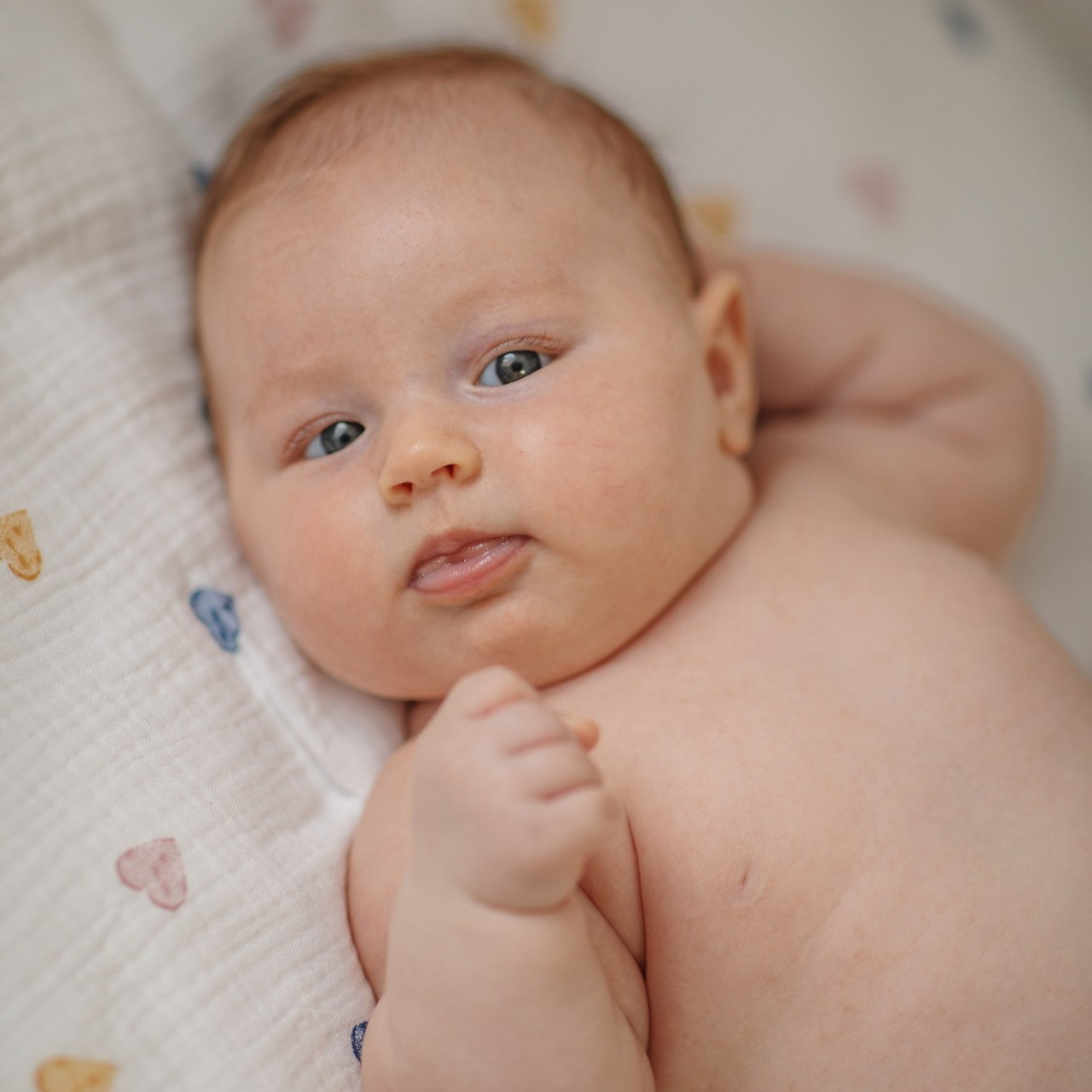 Comments. Wedding, Family Photographer