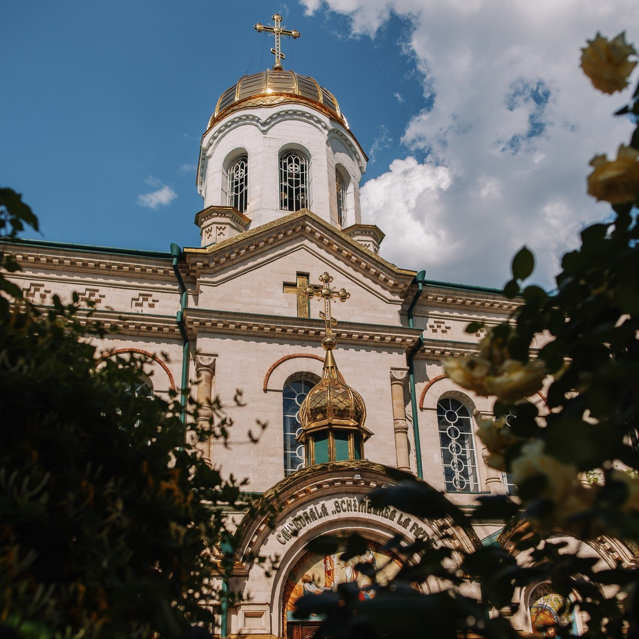 Comments. Wedding, Family Photographer