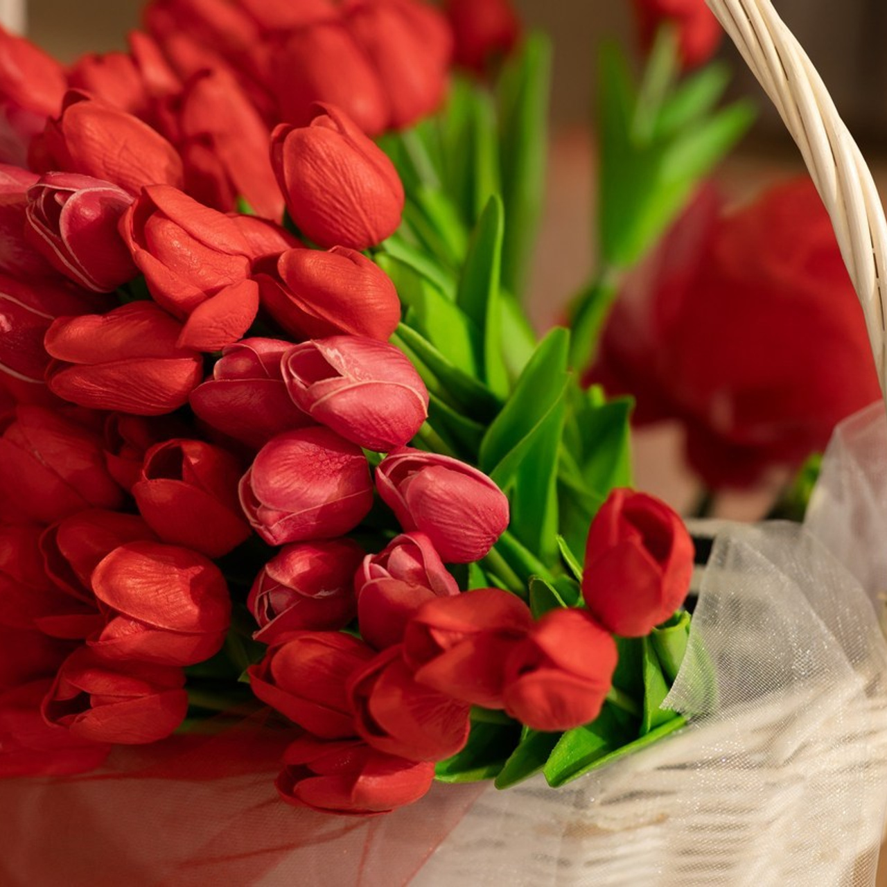 Comments. Wedding, Family Photographer