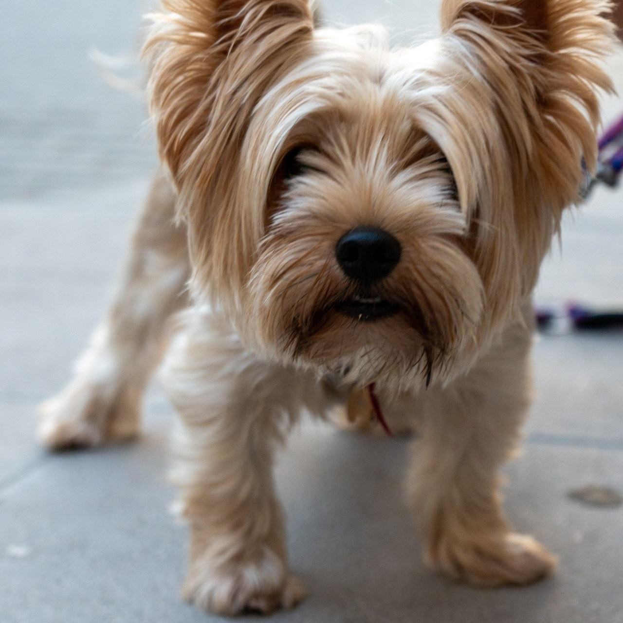 Testimonios. Yuliia Foto