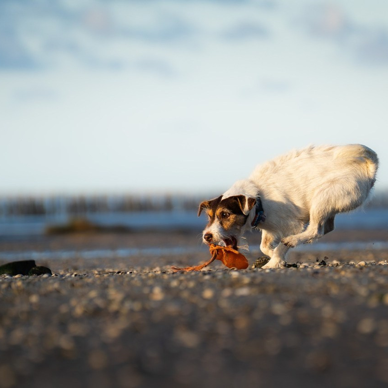 Referenzen. Thorben Ihler - Dein Fotograf aus Emden