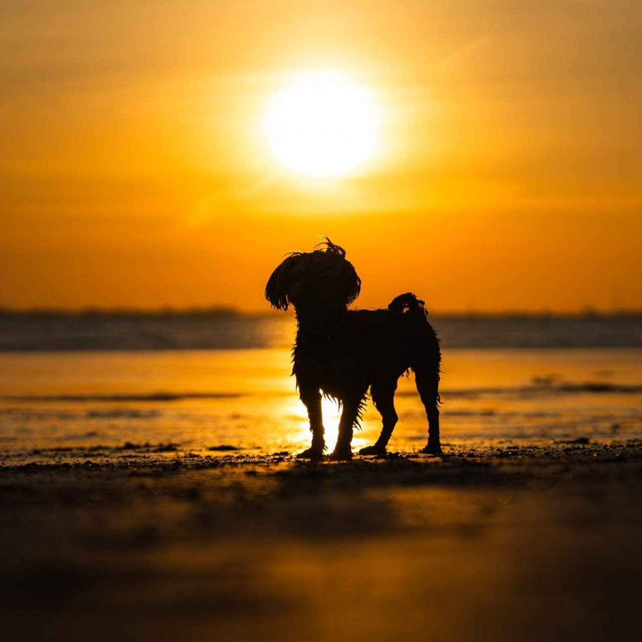 Referenzen. Thorben Ihler - Dein Fotograf aus Emden